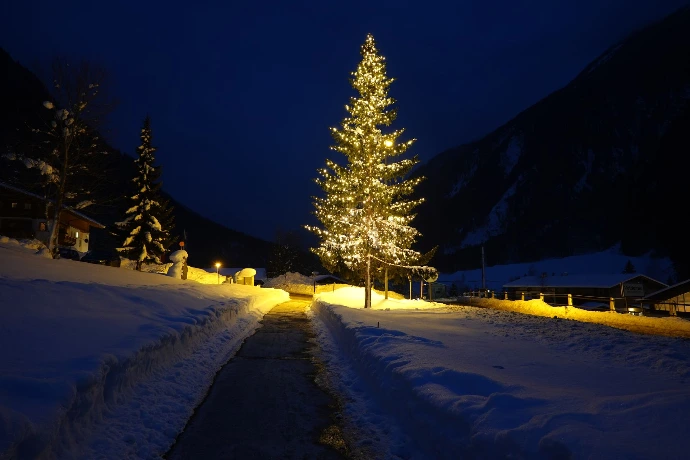 Baumbeleuchtung Nadelbaum