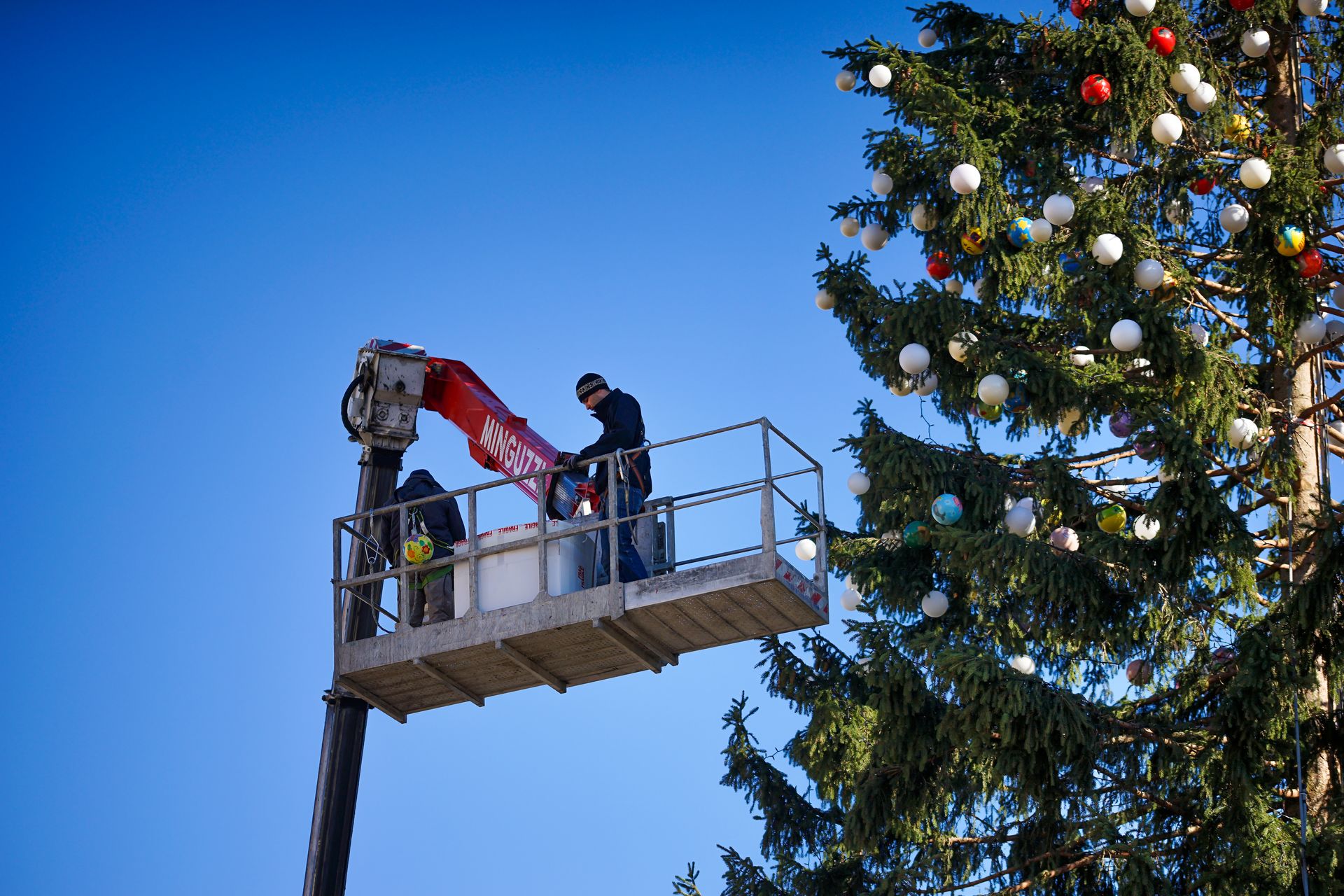 Weihnachtsbaum vor dem Petersdom